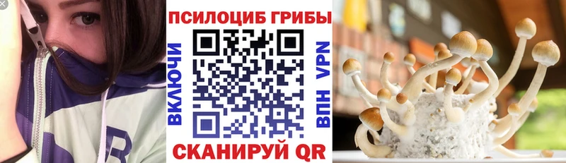 Псилоцибиновые грибы Psilocybine cubensis Темрюк